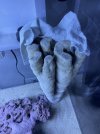 IMG_3175.jpeg