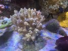 IMG_6689.jpeg
