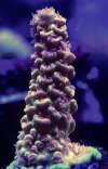 IMG_1493.jpeg