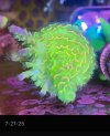 IMG_6447.jpeg