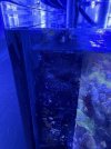 IMG_5736.jpeg