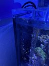 IMG_5734.jpeg