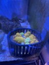 IMG_3934.jpeg