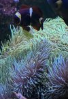 IMG_8231.jpeg