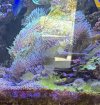 IMG_8230.jpeg