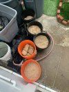 IMG_4187.jpeg