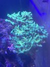 IMG_4183.jpeg