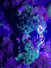 IMG_4190.jpeg