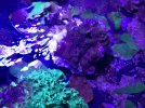 IMG_4191.jpeg