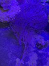 IMG_4192.jpeg