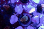 IMG_1524.jpeg