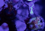 IMG_1522.jpeg