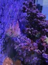 IMG_8463.jpeg