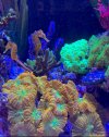 IMG_3136.jpeg