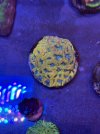 IMG_2342.jpeg