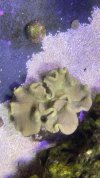 IMG_3401.jpeg
