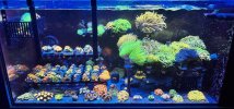 IMG_6933.jpeg