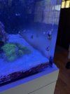 IMG_5786.jpeg