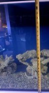 20250916_205853.jpg