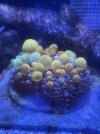 IMG_4043.jpeg