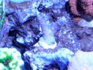 PXL_20250125_023854913.jpg