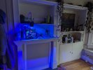 PXL_20250201_171731548.jpg