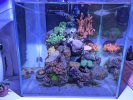 PXL_20250201_171933767.jpg