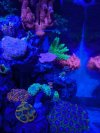 PXL_20250204_050648173.jpg