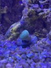 IMG_4078.jpeg