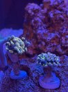 IMG_4072.jpeg