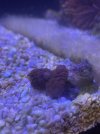 IMG_4079.jpeg