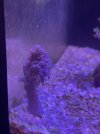 IMG_4094.jpeg