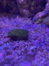 IMG_4093.jpeg