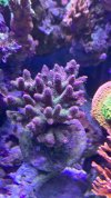 IMG_0184.jpeg