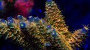 IMG_1587.jpeg