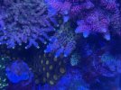 IMG_3368.jpeg
