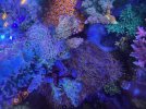 IMG_3378.jpeg