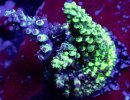 IMG_1516.jpeg