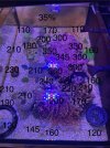 IMG_4134.jpeg