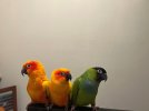 bird2.jpg