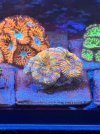 IMG_8435.jpeg