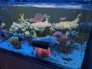 IMG_3367.jpeg