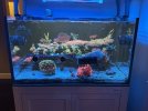 IMG_3368.jpeg