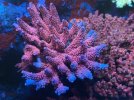 IMG_3361.jpeg