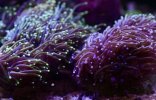 IMG_4731.jpeg