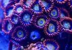 IMG_4726.jpeg