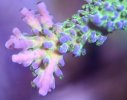 IMG_4722.jpeg