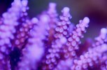 IMG_4720.jpeg