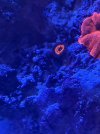 IMG_2340.jpeg