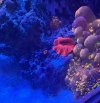 IMG_4431.jpeg